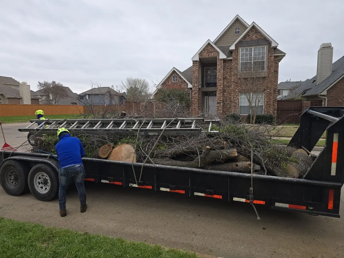 Expert Lot Clearing with proper safety equipment in Ruby